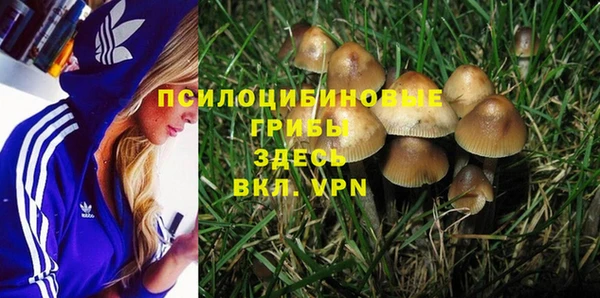 метамфетамин Осташков