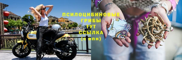 метамфетамин Осташков