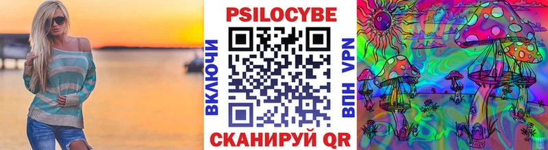 Псилоцибиновые грибы Psilocybe где можно купить Горячеводский